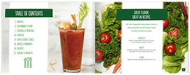 V8 Brochure