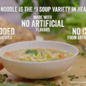Reduced Sodium Solutions