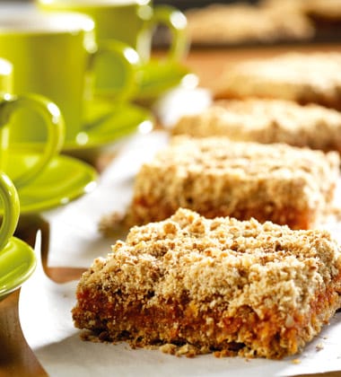 FIREHOUSE SALSA BARS
