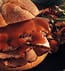 TANGY SANDWICHES TANGY SANDWICHES